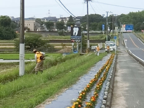 2019.6.9 　6-Ⅰ例会  播種地周りの管理