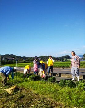 2019.9.8　9-Ⅰ例会　コスモス播種地の除草と草刈り