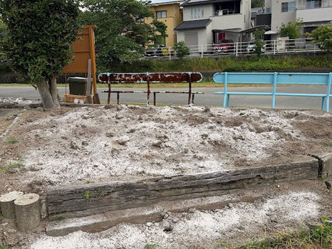 2026.5.20　夏用花壇準備とコスモスの中段切り
