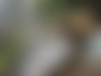 2021.5.9　   5月例会　　花壇の植え替え準備