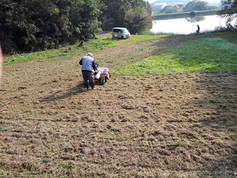 2020.10.29　10-Ⅱ例会　鯉の放流準備