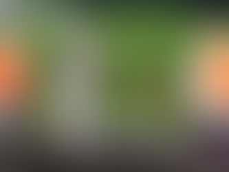 2022.7.18　マリ－ゴルド撤去、鶏頭の補植