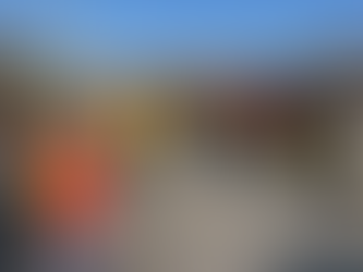 2024.3.10   花壇#チューリップ内の草取り＆播種地への肥料