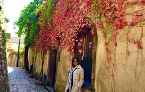 Nicole Moshfegh Psy.D.