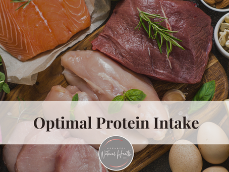 Optimal Protein Intake: Why Protein Is Foundational to Metabolic & Hormone Health