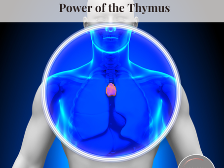 Wake Up Your Inner Healer: The Power of the Thymus