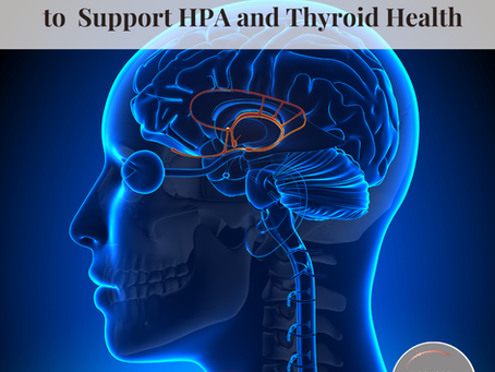 Unlocking Hormonal Balance: How to Support HPA and Thyroid Health