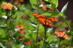 Naturaleza