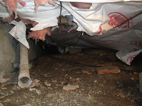 vented dirt crawlspace.jpeg