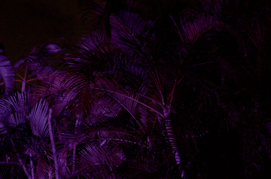 Tropical Terror - New Horror/Dark Comedy by Christopher Pinto Just Announced