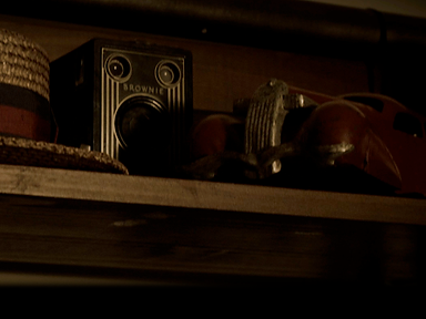 dear diary bookshelf top.png