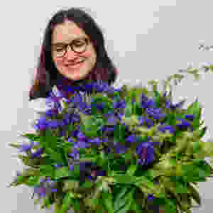 Flockenblumen, Blumenpost, Schweiz