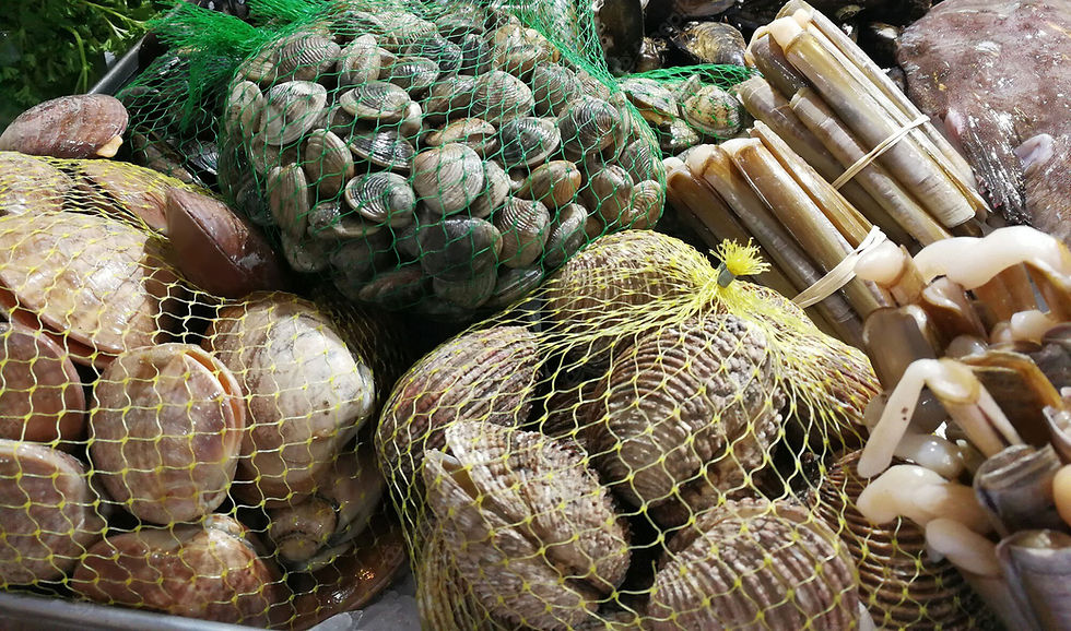 web-banner-nets2.jpg