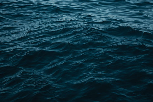 ocean web image.jpg