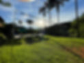IMG_2348.jpeg