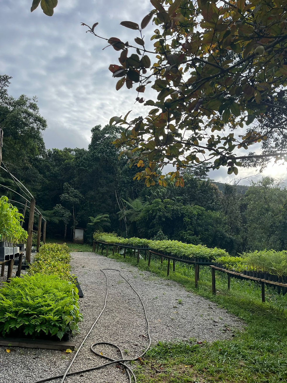 Produção Duda Salabert