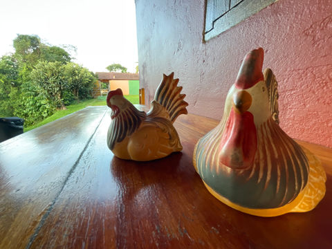 galinhas decorativas caracteristica de minas gerais na pousada recanto do chalé