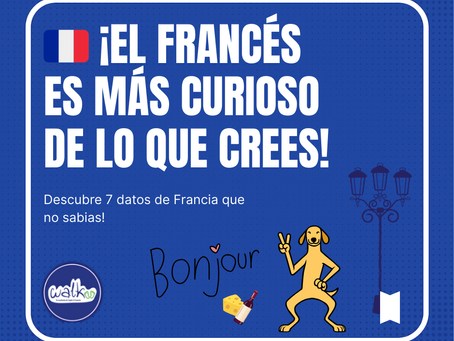 🇫🇷 7 cosas que los franceses hacen diferente… y cómo adaptarte con el idioma