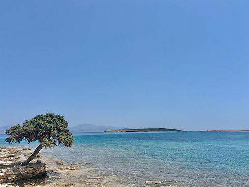 WhatsApp Image 2022-10-11 at 1.24.02 PM.jpeg