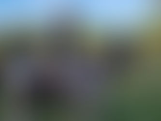 Familienzuwachs zum zweiten