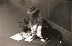 Man's Best Friends, 2008