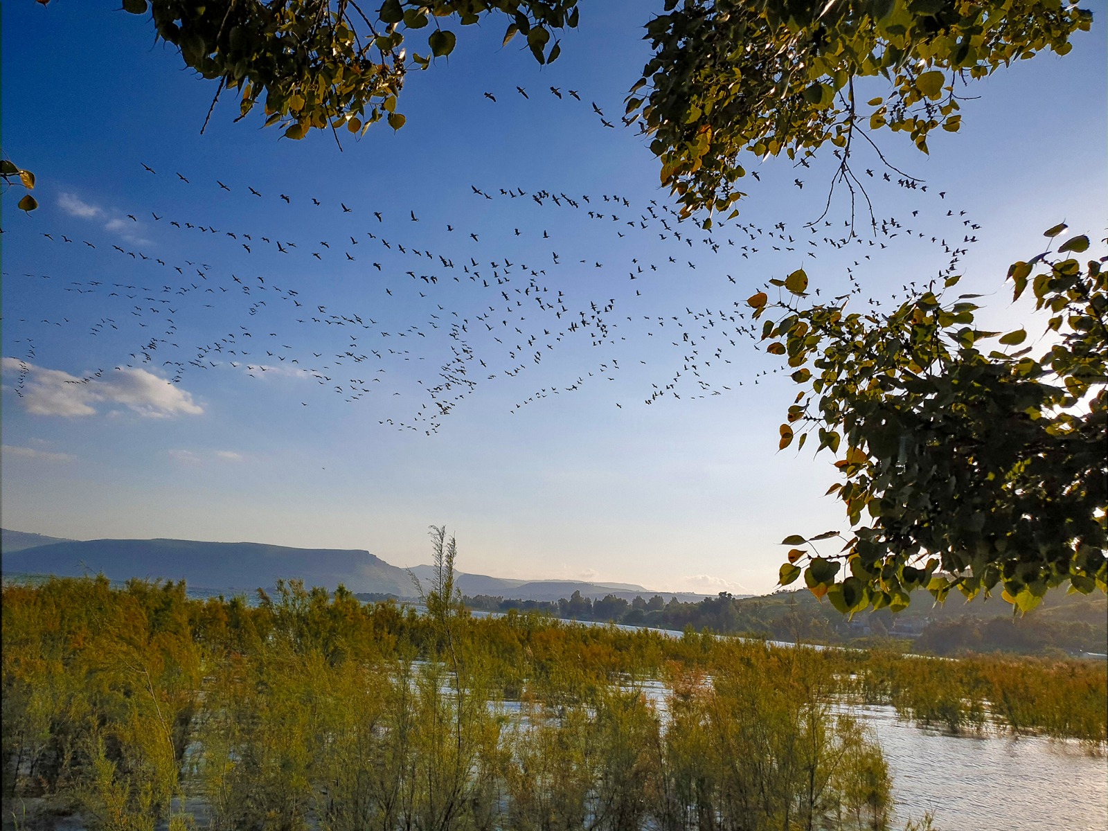 DVHL Pilgerhaus Tabgha