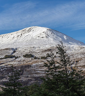 Mt_Bruce,_Canterbury,_New_Zealand_17.jpg