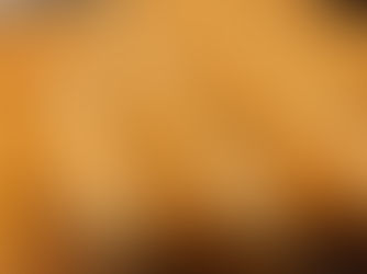          Pão francês 0,70 gr - 06 horas