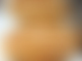       PÃO DO PADRE (PÃO CASEIRO)