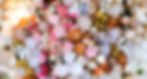 Front Page BG 1.jpg