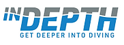 indepth logo.png