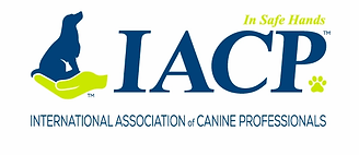 iacp-logo-rgb-web600x260.webp