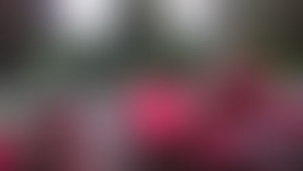 Xinbeitou, il quartiere termale di Taipei