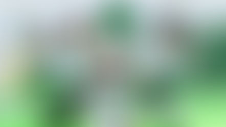 L'isola bella: Formosa