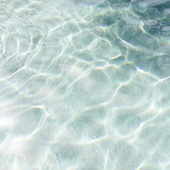 Background Website.png