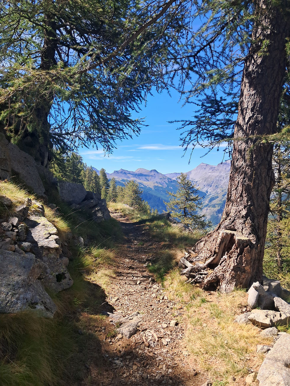 Le chemin de l'énergie, entre refuge de Vens et celui de Rabuons... 2300m alt.