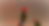 _Ninar_MASTER_v0 (0-02-42-08).png