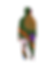 thiago.png