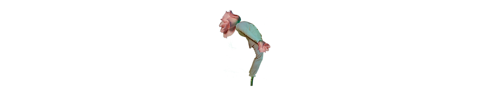 80786805-97fb-4cd5-a3c0-bce7e74a9796.png