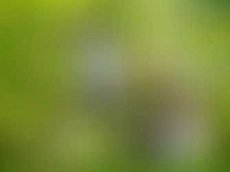 Salud Mental: Ejercicio Físico Vs Estrés 