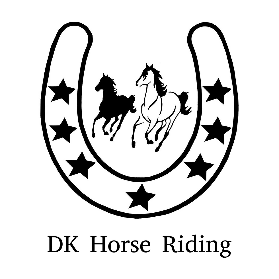 DK Horse Riding