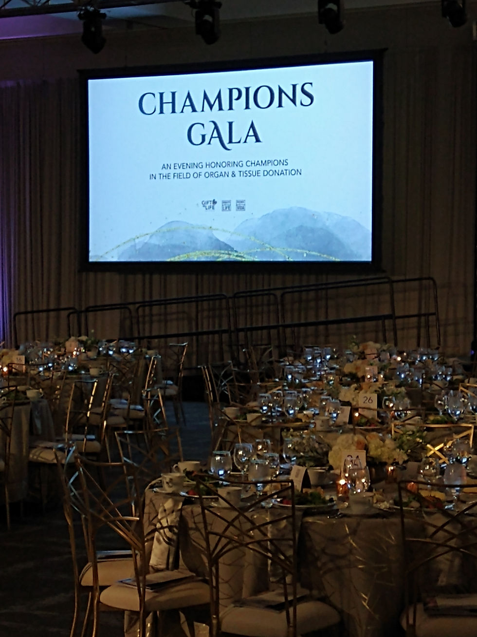 Rondo String Quartet at the Gift of Life Champions Gala