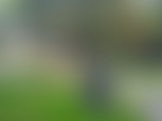 Kylene and Jerry Charged With Being a Model of A Successful Marriage