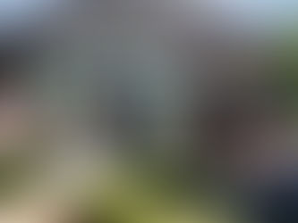 A Magical Surprise at Madelyn and Eric's Garden Wedding: Echoes of The Shire