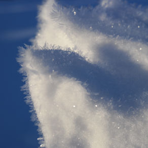 3.20.16 Letter to friends