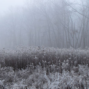 12.16.15 Letter to Friends