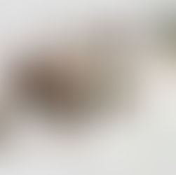 Welcome Home: The Story Behind IDYLY Network.