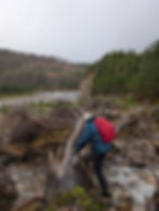 A hiker climbing over a fallen tree to cross a river. Trees in the background making the scene look adventurous.