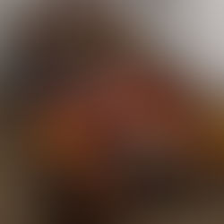 Black Cat Halloween Quilt Bed Set Trick or Treat