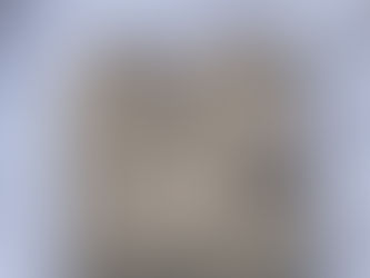 Golden Doodle Head Embroidered Sweatshirt - The Perfect Mama Shirt